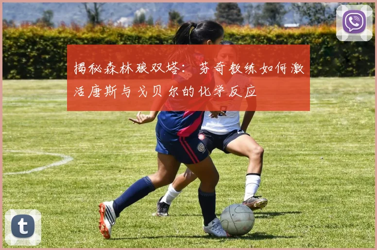揭秘森林狼双塔：芬奇教练如何激活唐斯与戈贝尔的化学反应