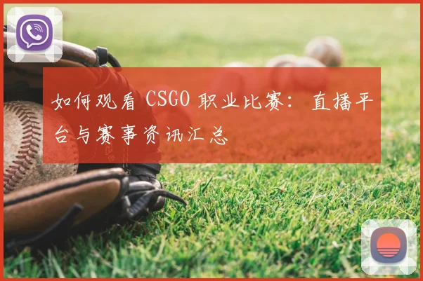 如何观看 CSGO 职业比赛:直播平台与赛事资讯汇总