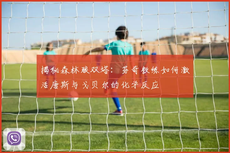 揭秘森林狼双塔：芬奇教练如何激活唐斯与戈贝尔的化学反应