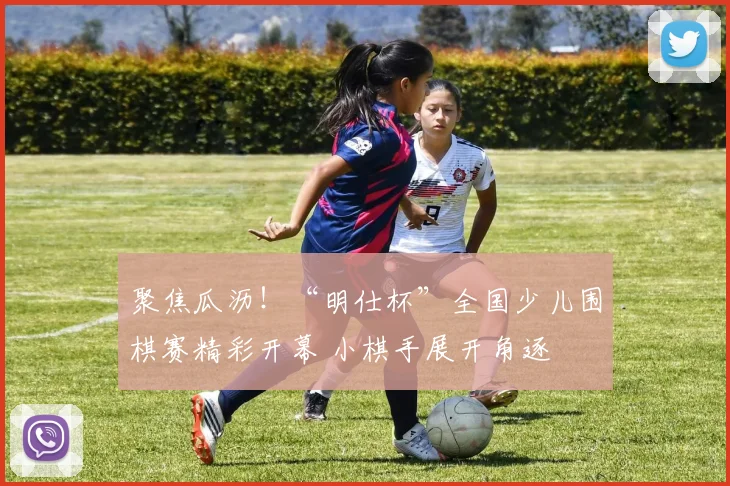 聚焦瓜沥！“明仕杯”全国少儿围棋赛精彩开幕 小棋手展开角逐